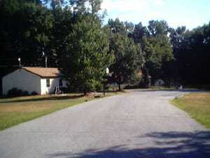 Driveway with Trees