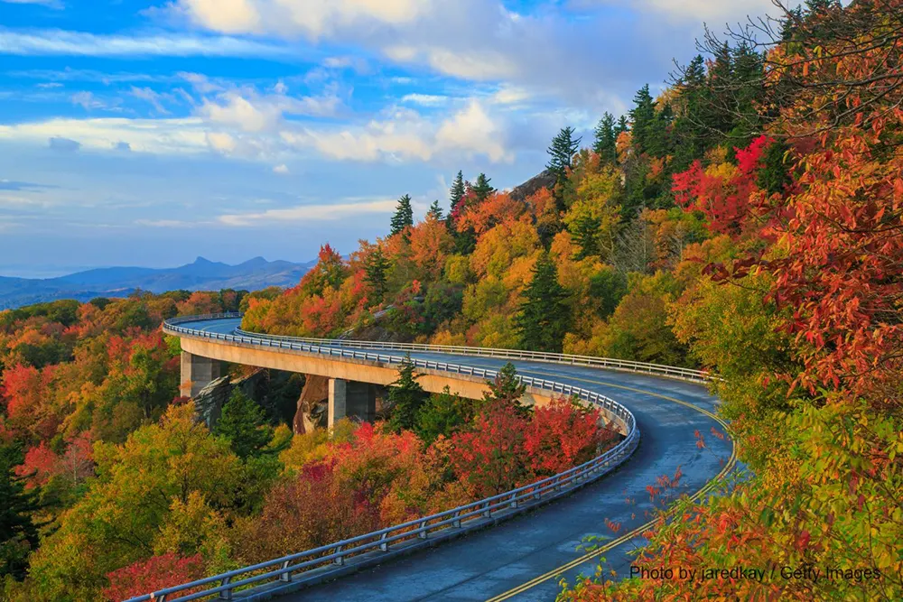 Roadway with colorful trees surrounding and blue skies